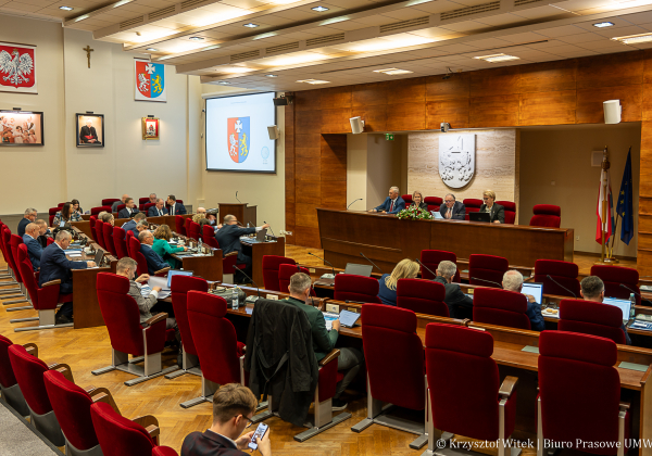Projekt budżetu Podkarpacia na 2025: jakie plany dla powiatu lubaczowskiego?