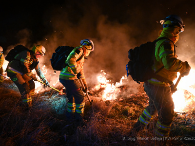 Specjalistyczne szkolenie strażaków. Tak przygotowują się na pożary lasów [ZDJĘCIA]