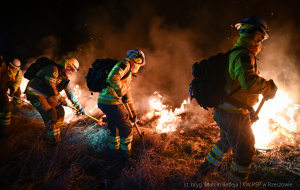 Specjalistyczne szkolenie strażaków. Tak przygotowują się na pożary lasów [ZDJĘCIA]