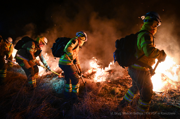 Specjalistyczne szkolenie strażaków. Tak przygotowują się na pożary lasów [ZDJĘCIA]