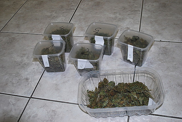 23-latek z Lubaczowa aresztowany za posiadanie 150 gram marihuany