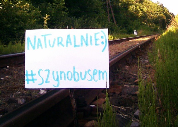 Zdjęcie Pani Teresy Biedroń, za które otrzymała nagrodę głowną