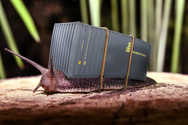 Kontener na gruz — niezbędny element prac remontowych i budowlanych