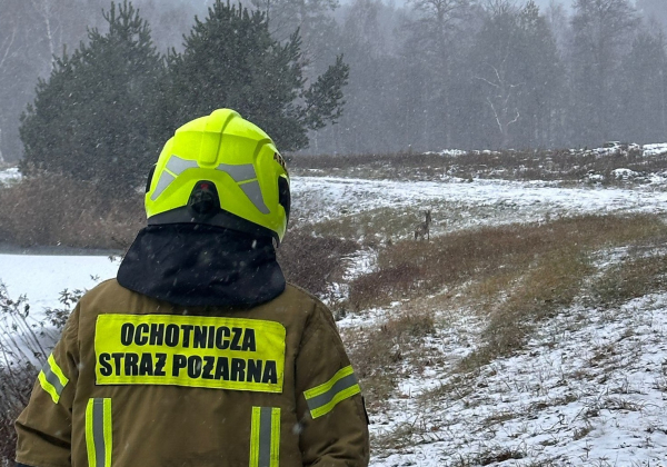 Nietypowa akcja strażaków z Narola - pomogli sarnie