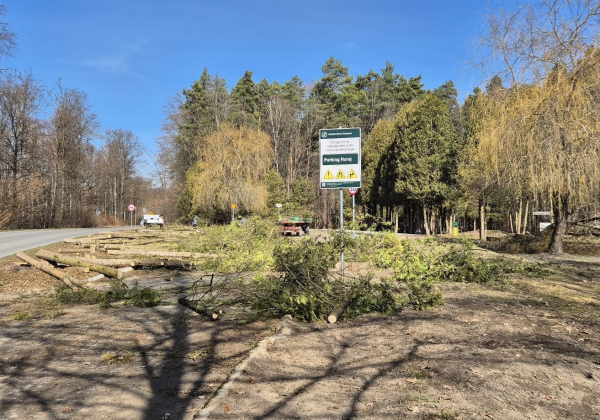 Uroczysko Horaj w nowej odsłonie - Nadleśnictwo Oleszyce prowadzi prace