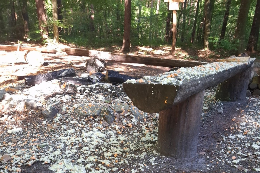 Wyjątkowa bezmyślność. W lesie wrzucił piankę montażową do ogniska [ZDJĘCIA]