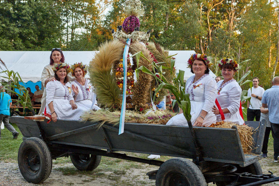 Dożynki Gminno-Parafialne 2025 w Radrużu [ZOBACZ ZDJĘCIA]