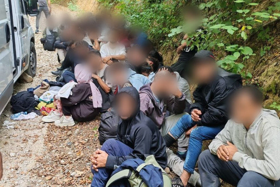 Polacy zatrzymani za przewóz imigrantów! W busie było 47 osób