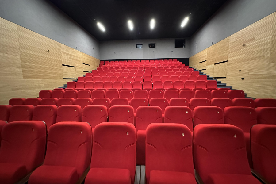 Jak radzi sobie kino w Lubaczowie? Podsumowanie pierwszego półrocza 2025 roku