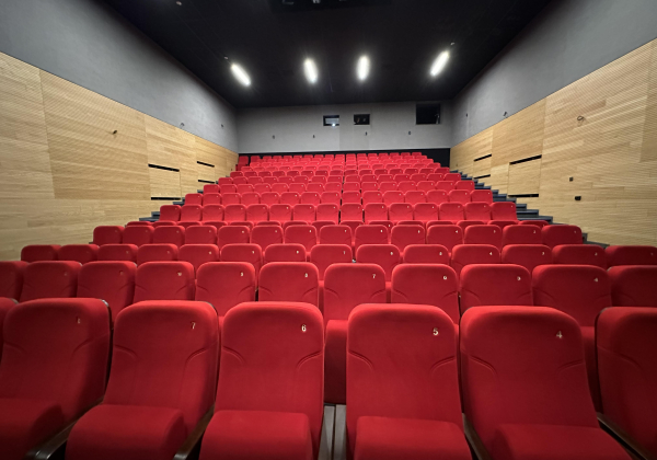 Jak radzi sobie kino w Lubaczowie? Podsumowanie pierwszego półrocza 2025 roku
