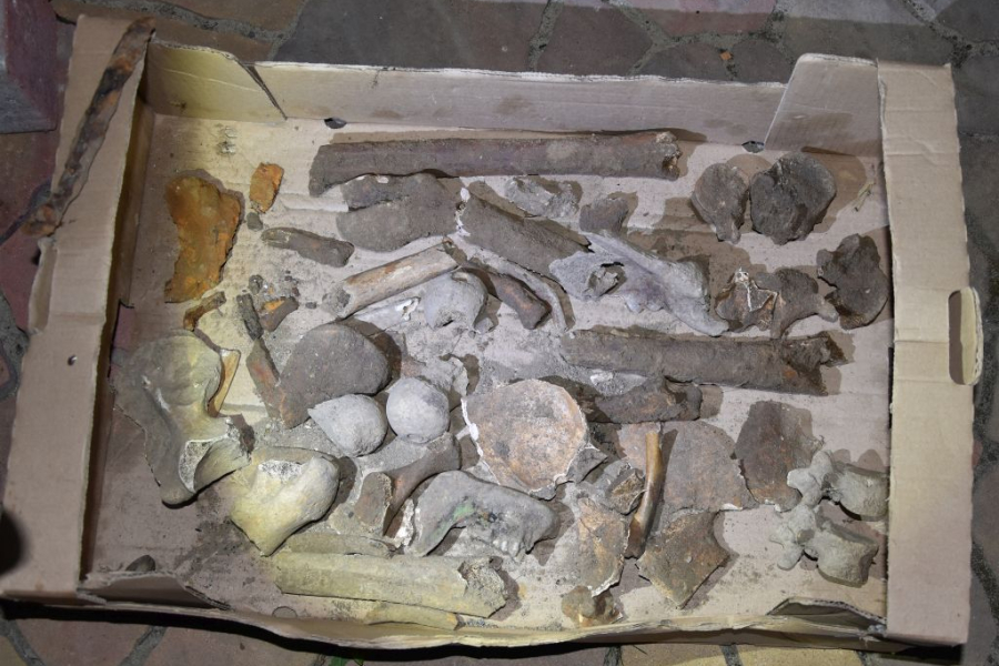 Szokujące znalezisko! Amunicja i ludzkie szczątki w ziemi z drogi wojewódzkiej 865