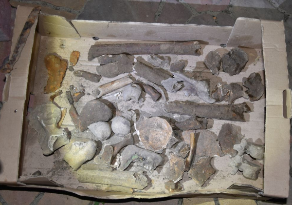 Szokujące znalezisko! Amunicja i ludzkie szczątki w ziemi z drogi wojewódzkiej 865