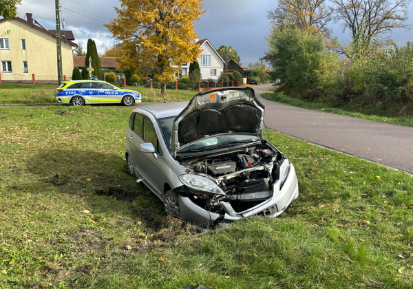 Ułazów: Honda wpadła do rowu. 64-letni kierowca ranny [ZDJĘCIA]