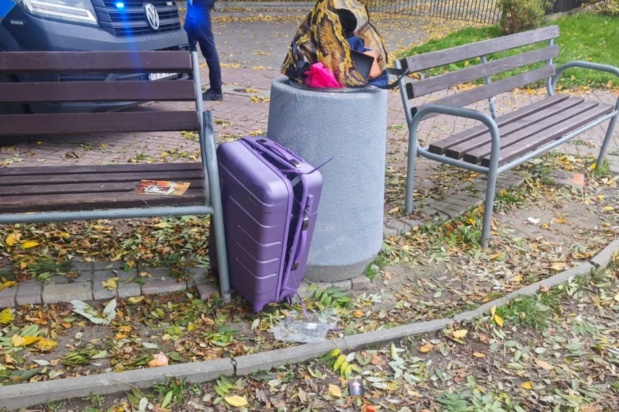 Ukradli walizkę turystce ze Szwajcarii. 39-latek z gminy Lubaczów zatrzymany