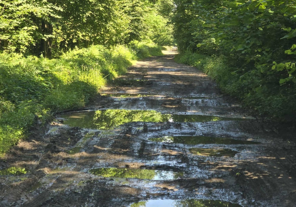 Droga na odcinku Płazów - Nowe Brusno zostanie wyremontowana? Jest wniosek radnych