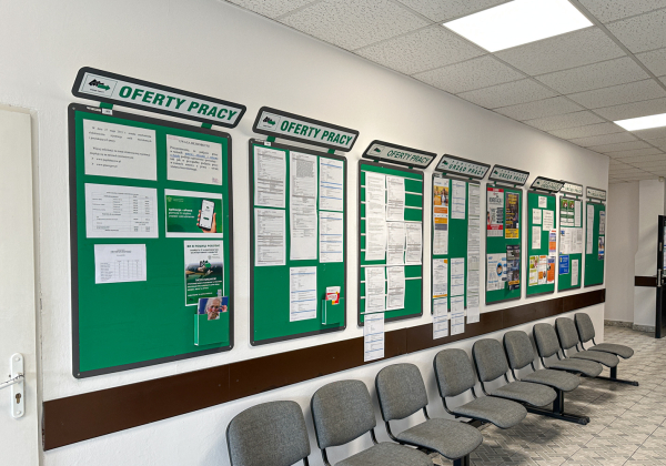 Zatrudnią kierowców, opiekunów i sprzedawców. Najnowsze oferty pracy z powiatu