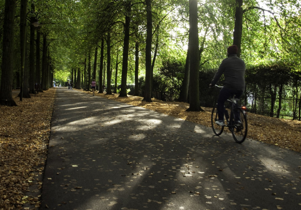 Nowa trasa rowerowa połączy Basznię Dolną z Horyńcem-Zdrojem. Ogłoszono przetarg