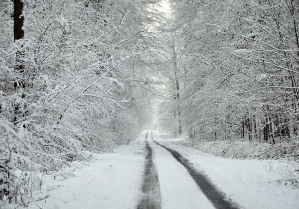 Czy zima zostanie w powiecie lubaczowskim? Mamy najnowsza szczegółową prognozę