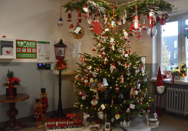 Wyjątkowa choinka w Starostwie Powiatowym w Lubaczowie. Zobaczcie zdjęcia