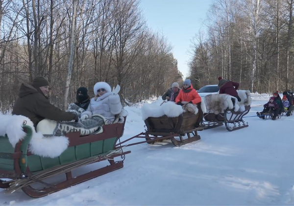 Jak za dawnych lat. Zimowa zabawa w lasach Nadleśnictwa Oleszyce [VIDEO]