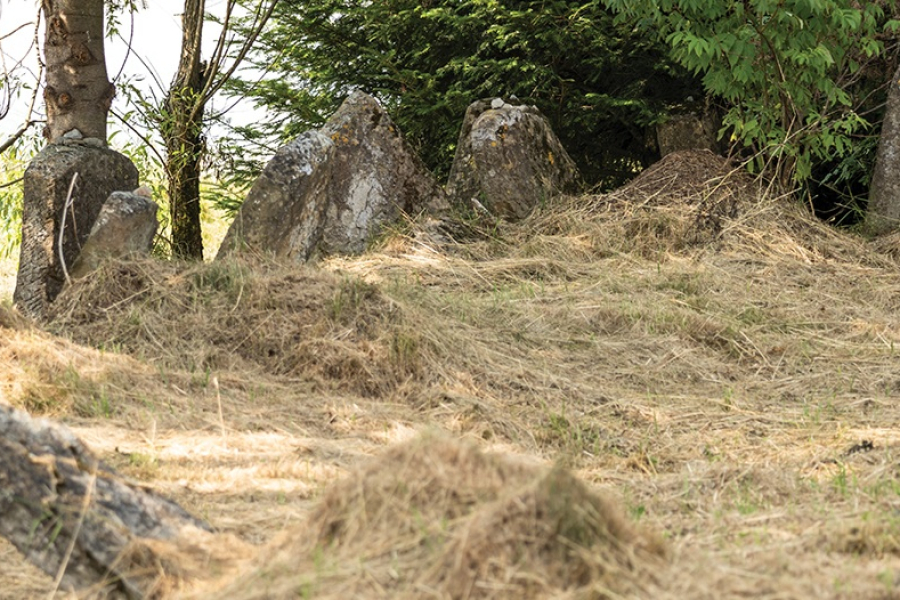 Polifonia pamięci w Radrużu. Wystawa o karpackich pograniczach