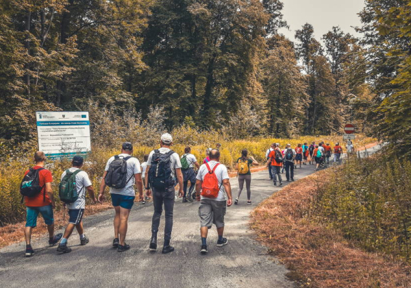 Pieszo przez najpiękniejsze miejsca w gminie Horyniec-Zdrój. Ruszyły zapisy