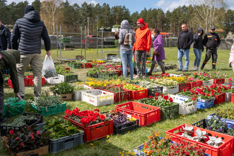 Udana XI Wiosenna Giełda Ogrodnicza w Baszni Dolnej [NASZA FOTORELACJA]