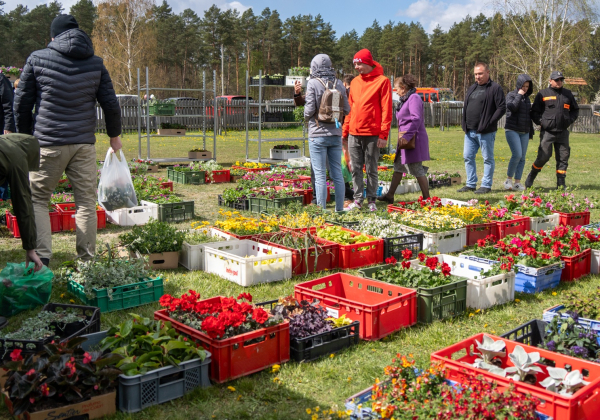 Udana XI Wiosenna Giełda Ogrodnicza w Baszni Dolnej [NASZA FOTORELACJA]