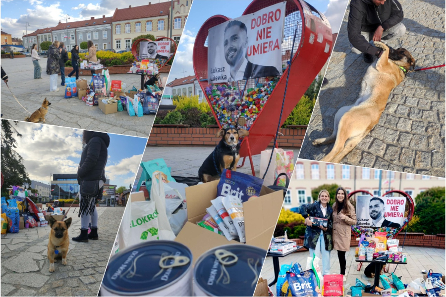 Pomogli tak, jak chciałby Łukasz Litewka. Wyjątkowa akcja w Lubaczowie [ZDJĘCIA]