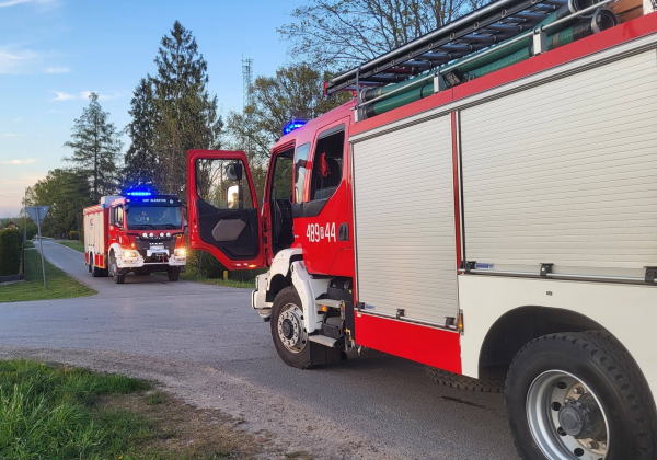 6 i 8-latek dla „żartu” zgłosili pożar lasu. 5 zastępów strażaków ruszyło do akcji