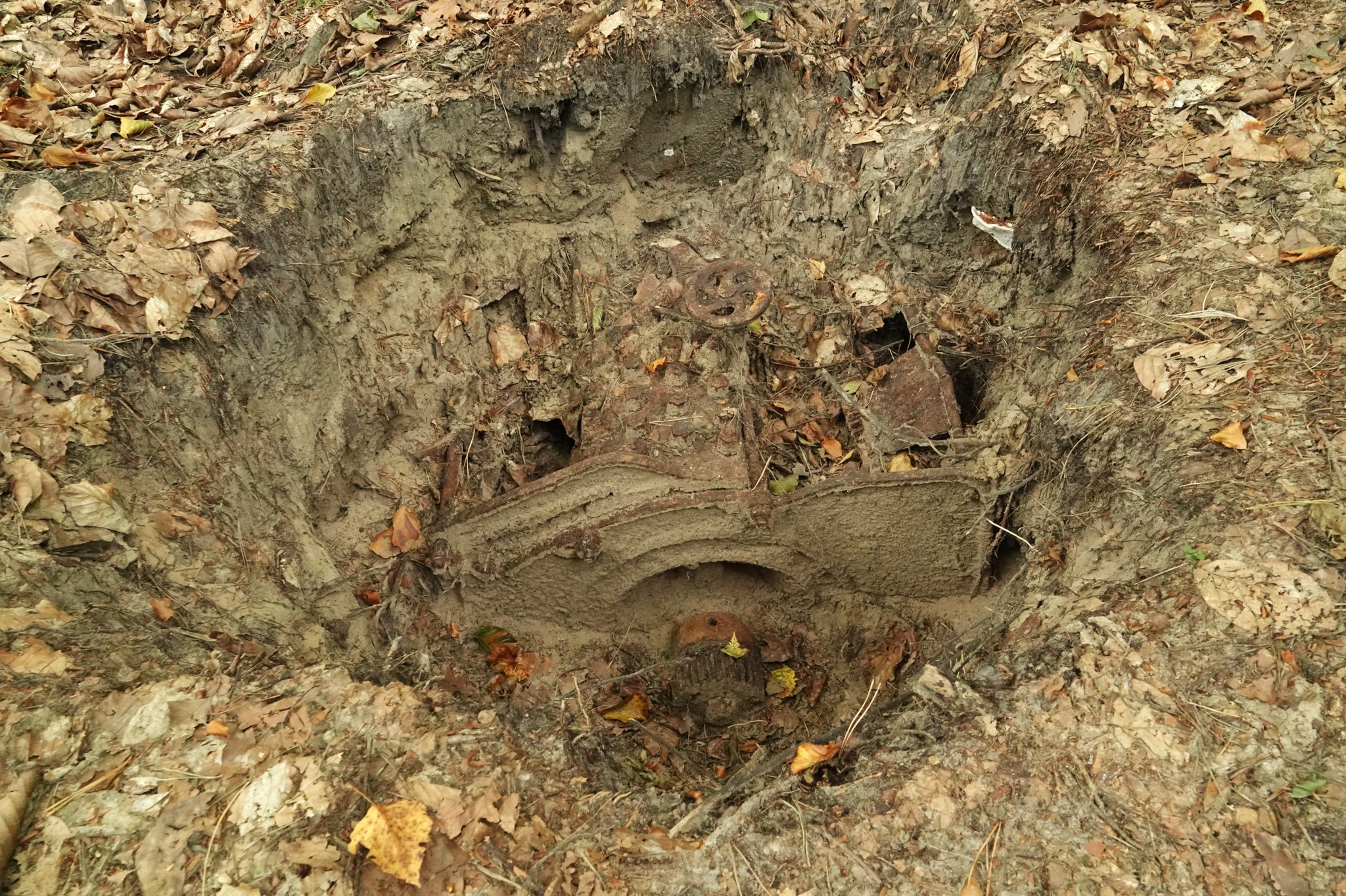 fot. Nadleśnictwo Lubaczów