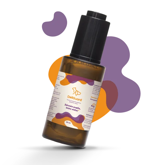 Witaminy i suplementy dla zwierząt – jak wpływają na zdrowie psa?