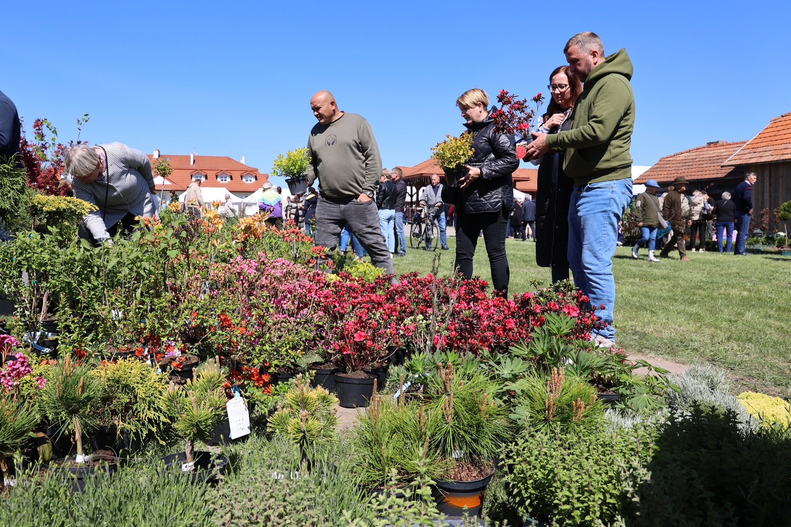 fot. archiwum Gmina Lubaczów