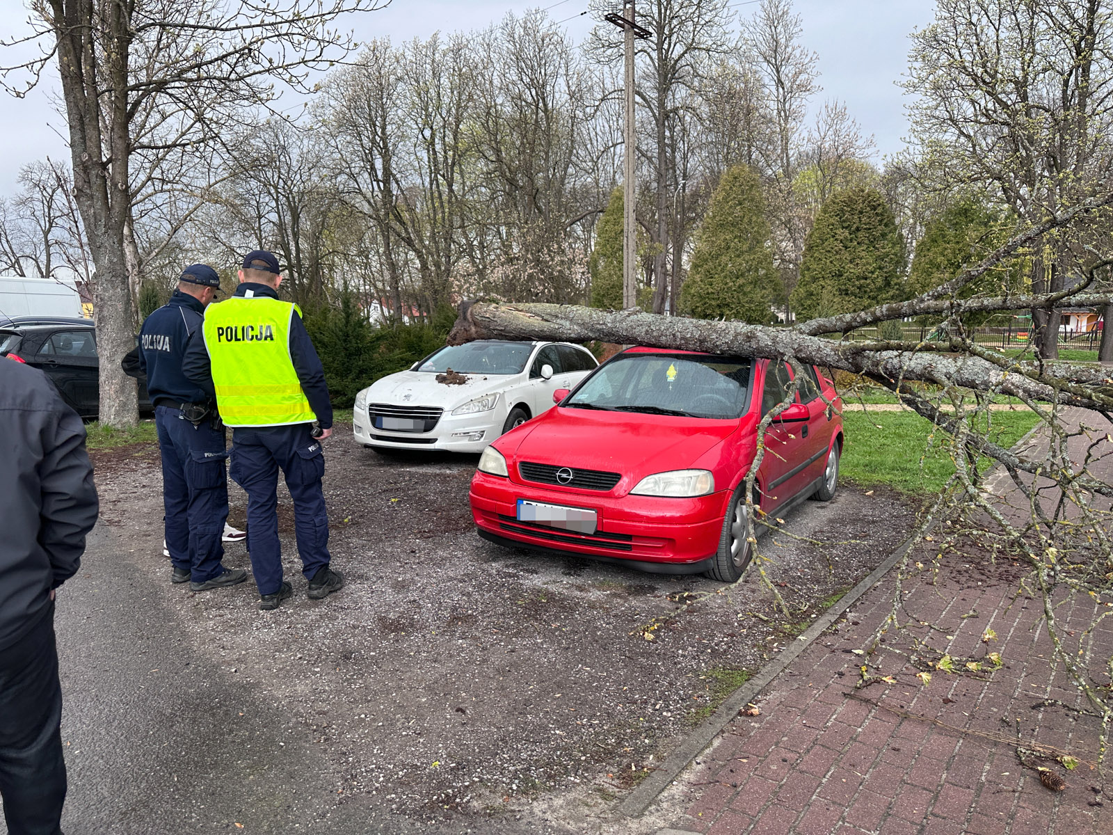 Drzewo spadło na dwa auta w Oleszycach