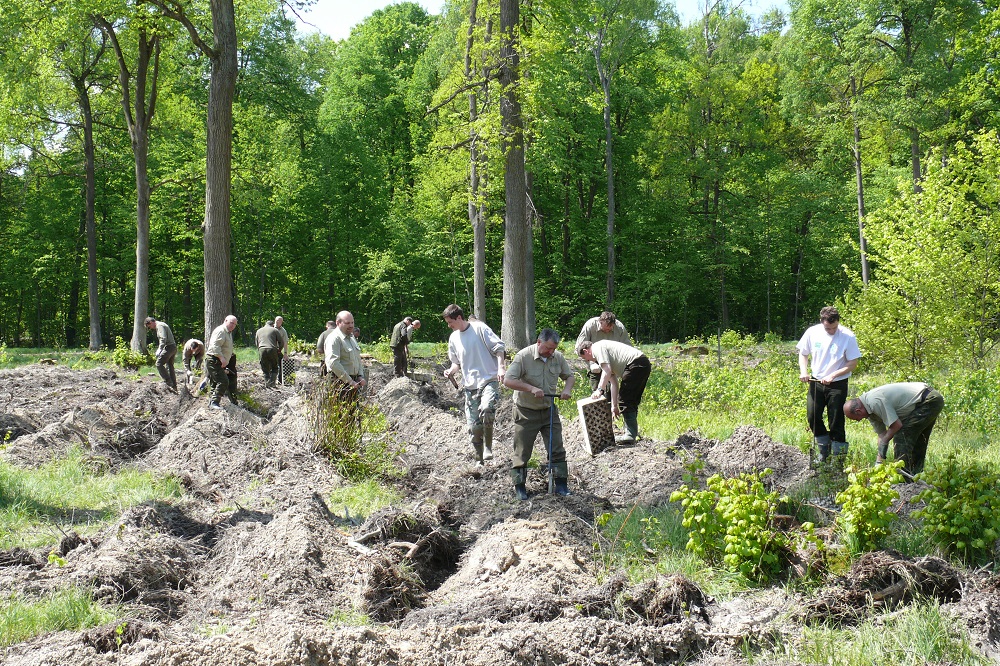 Zdjęcie ilustracyjne fot. archiwum Nadleśnictwo Oleszyce