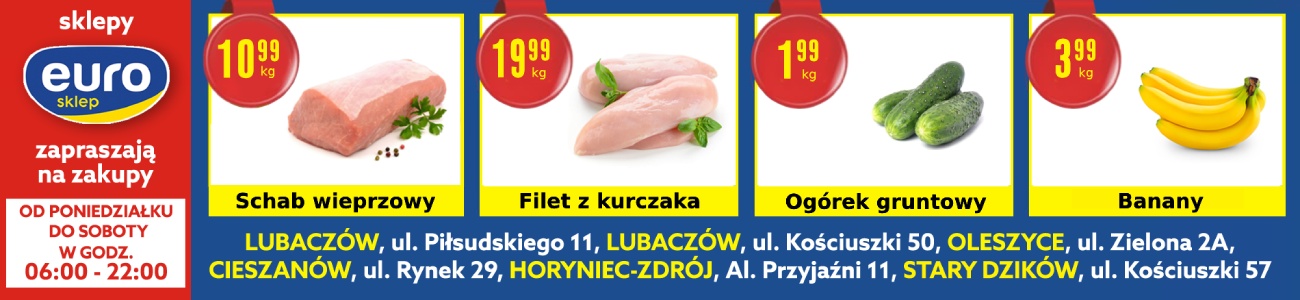 Euro - gazetka
