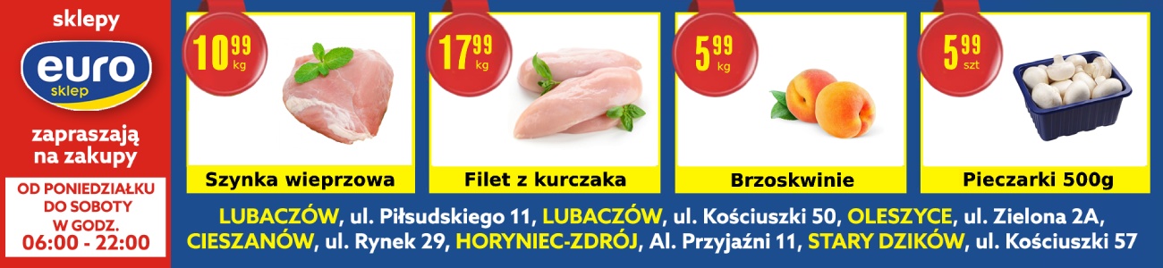 Euro - gazetka