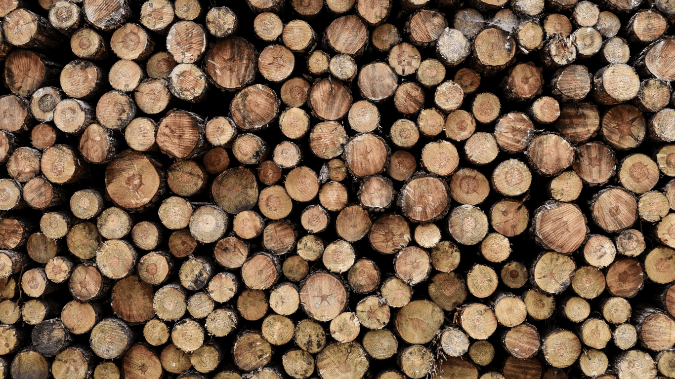 Pellet czy drewno – które ogrzewanie lepiej sprawdzi się w domu jednorodzinnym?