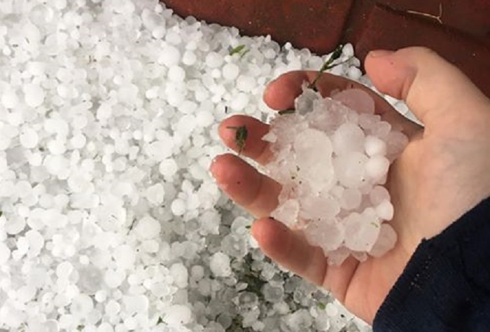 fot. czytelniczka ZLUBACZOWA.PL