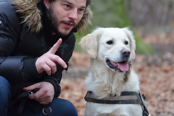 Spacery z psem: jak długo trzeba chodzić, aby wystarczyło?