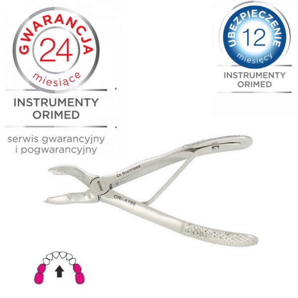 Kleszcze stomatologiczne – wszystko, co musisz o nich wiedzieć