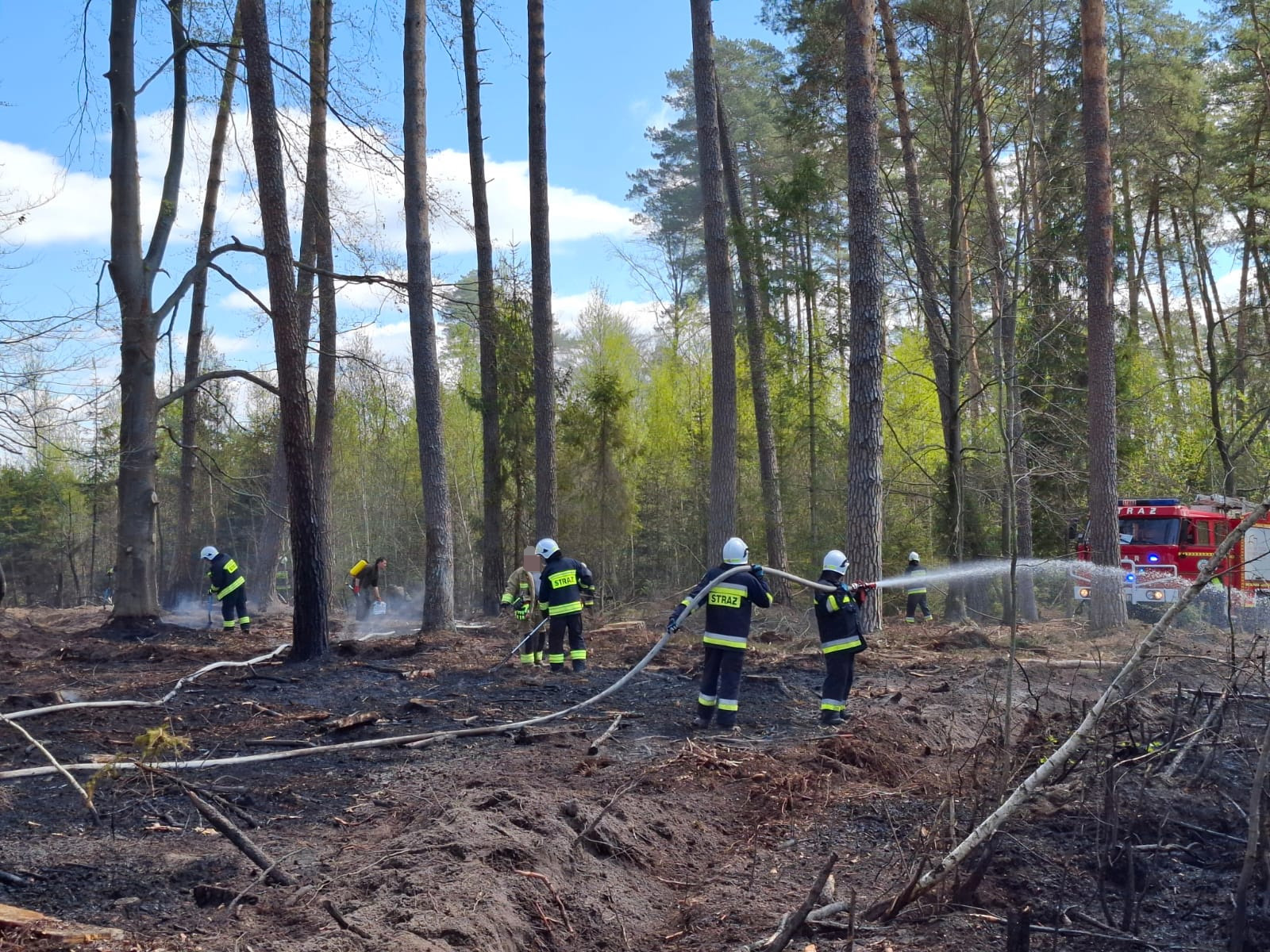 fot. Nadleśnictwo Sieniawa