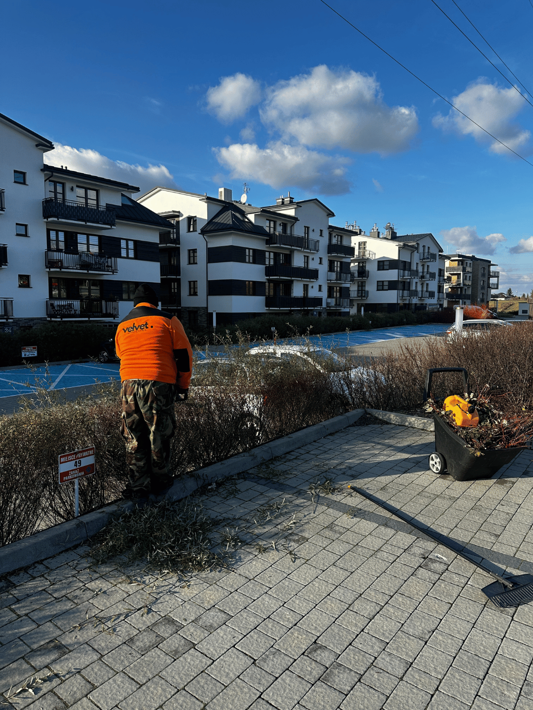 Jesienne prace porządkowe na osiedlu w Lublinie – cięcie krzewów