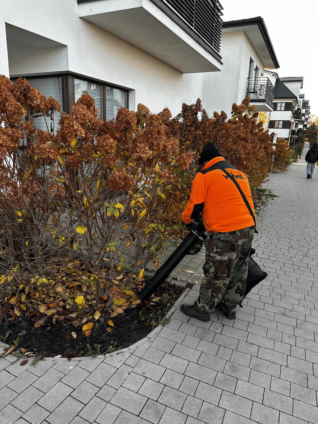 	Usuwanie liści z krzewów na osiedlu – Velvet Sprzątanie Lublin