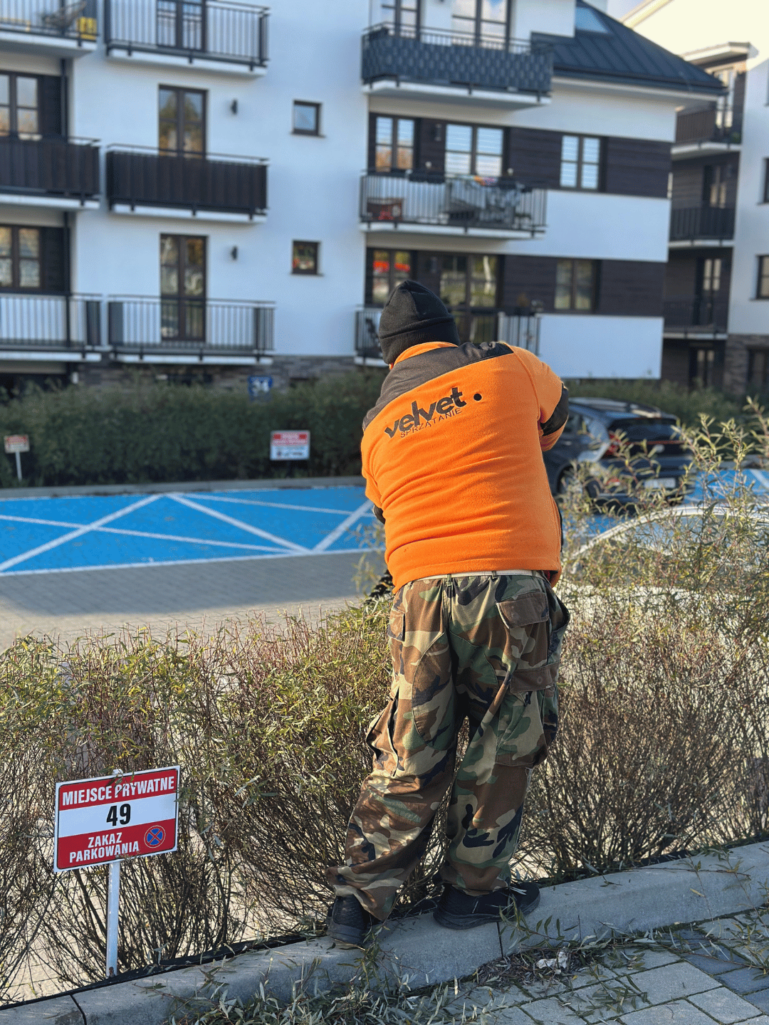 Jesienne skracanie krzewów przy parkingu osiedlowym – Velvet Sprzątanie