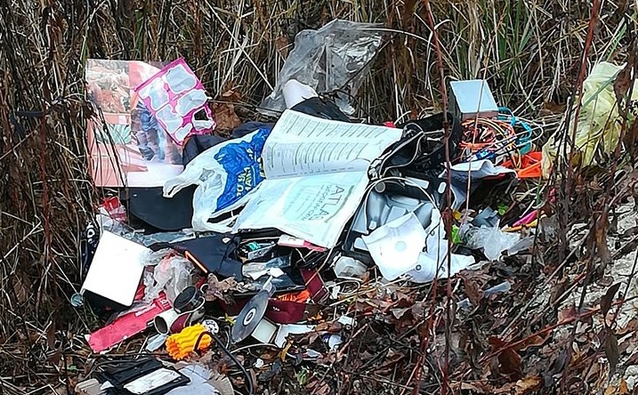 fot. Nadleśnictwo Narol